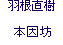 H {V